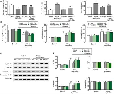 Leptin Increases Expression of 5-HT2B Receptors in Astrocytes Thus Enhancing Action of Fluoxetine on the Depressive Behavior Induced by Sleep Deprivation